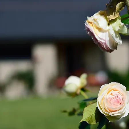Bed & Breakfast Le Val De Brangon *